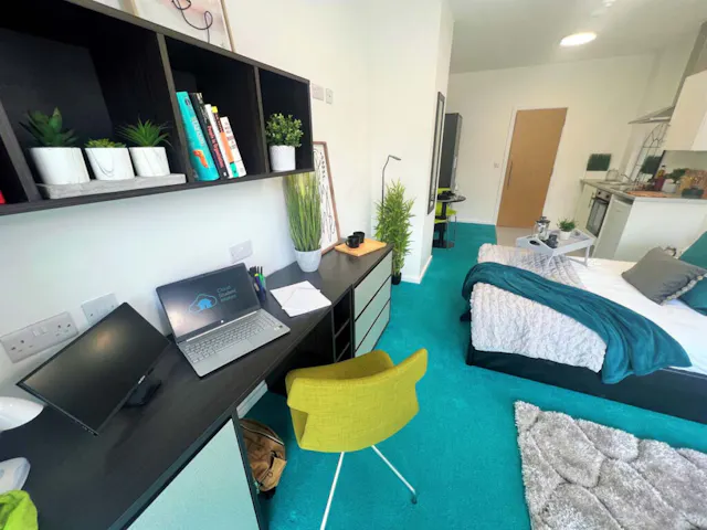 Deluxe Studio room image 8