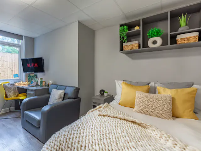Luxury Studio room image 1