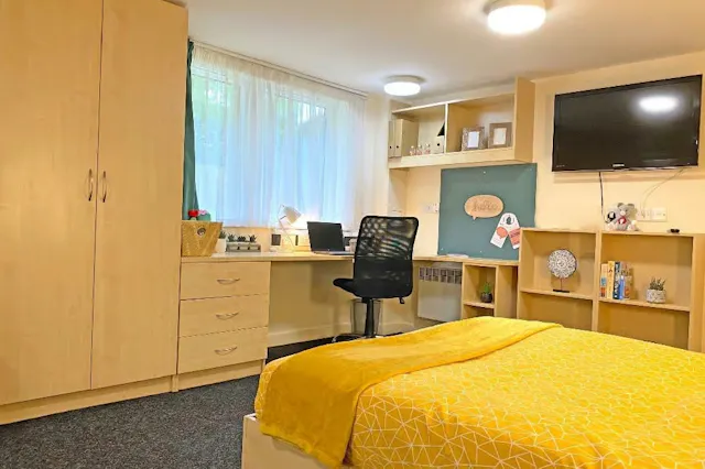 Studio Plus room image 1