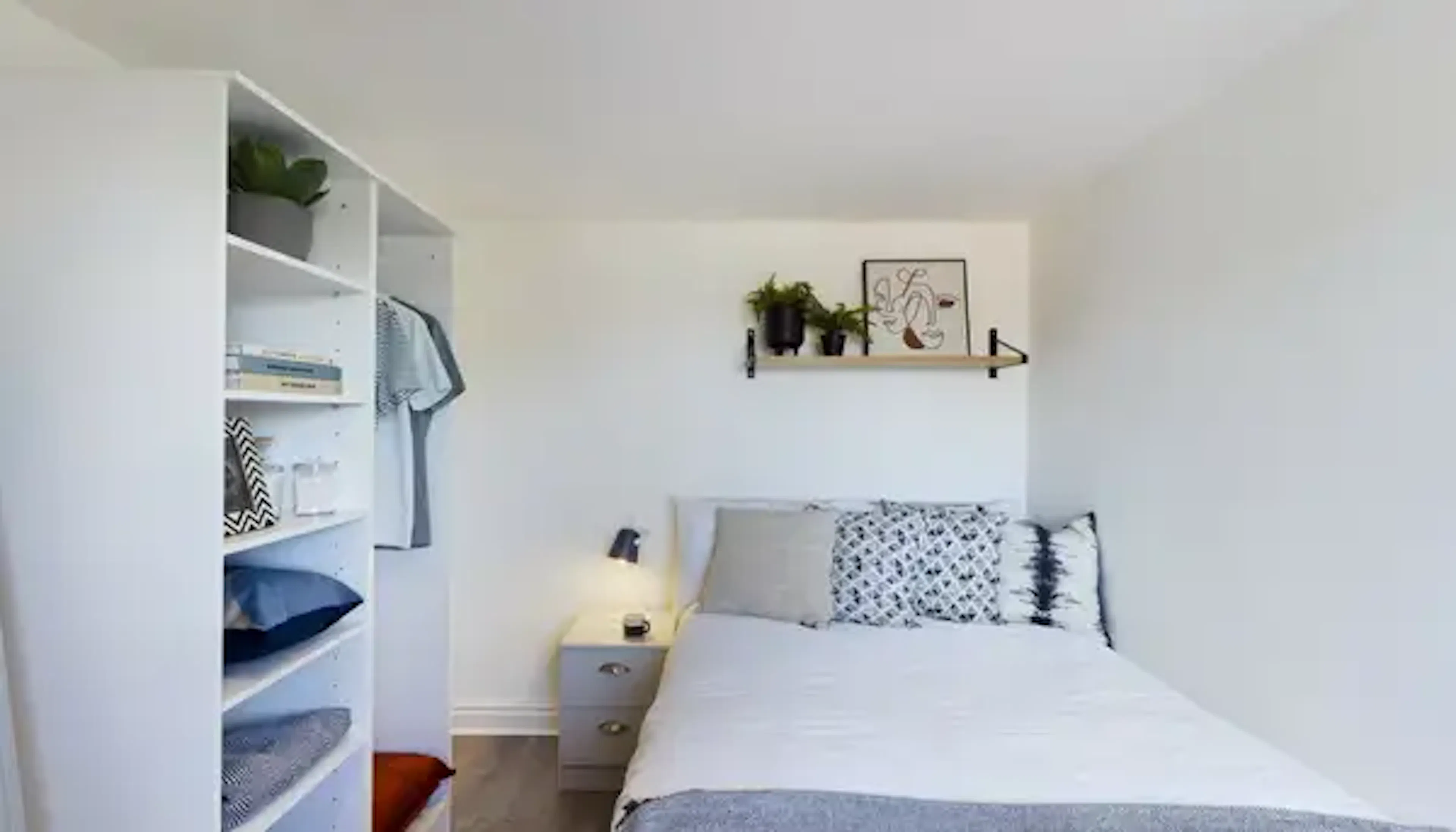 7 Bed Apartment ROOM 2