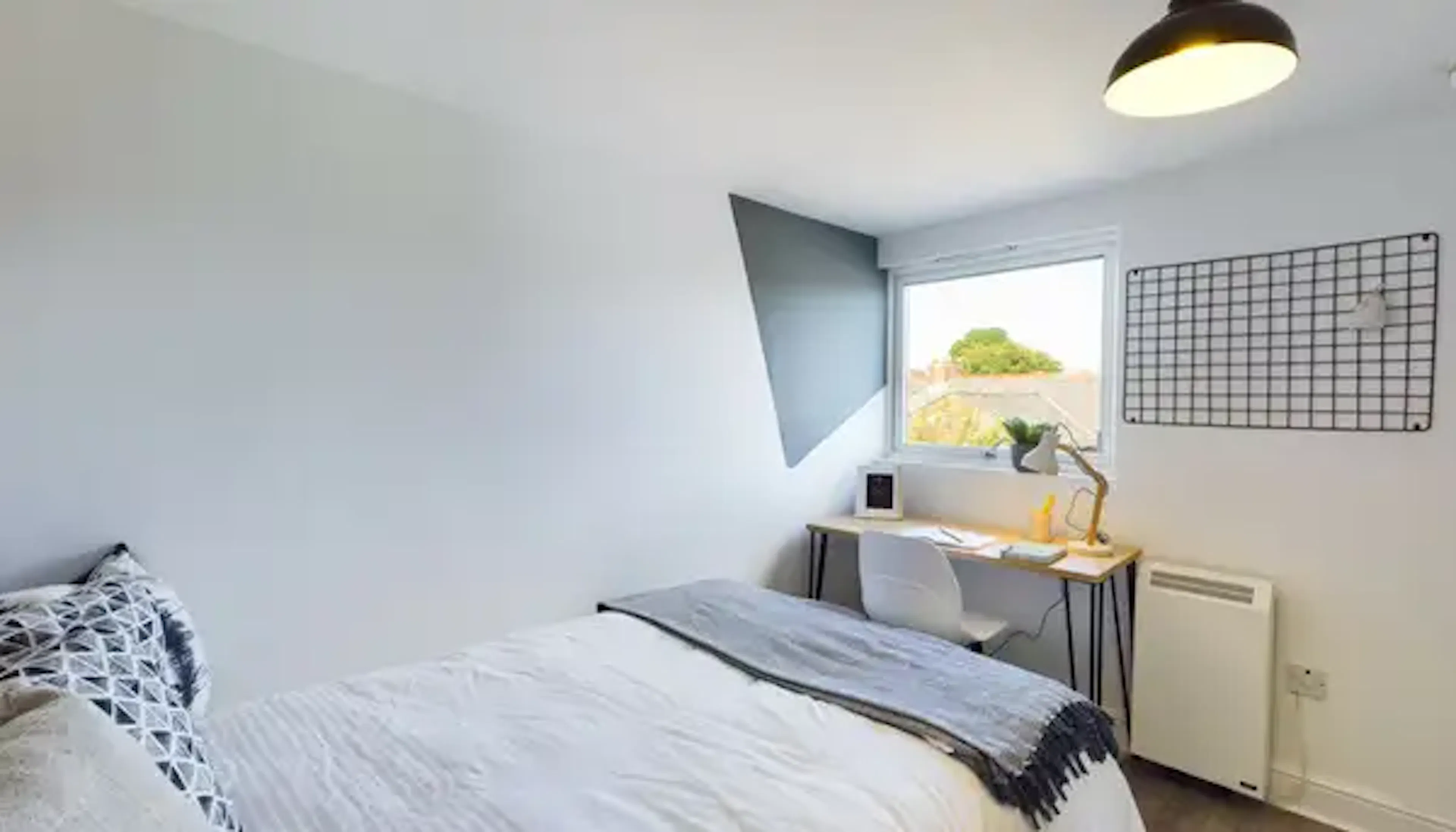7 Bed Apartment ROOM 3