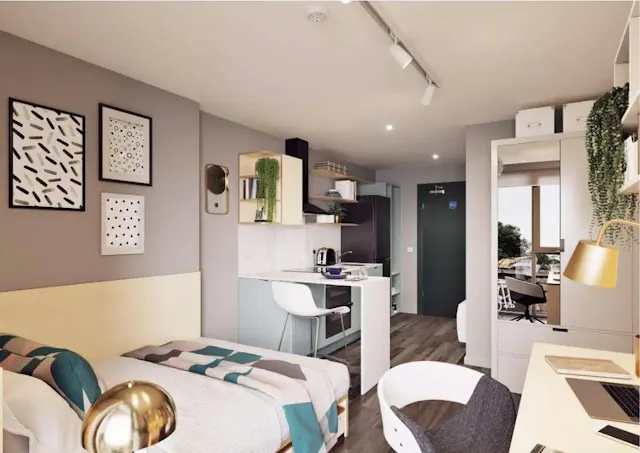Executive Studio room image 1