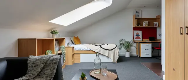 Premium Studio room image 2