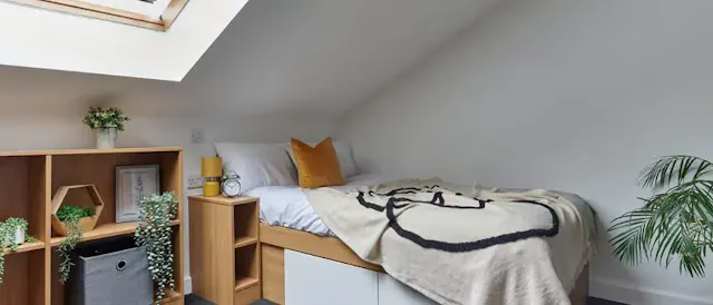 Premium Studio room image 1