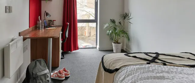Standard Plus Ensuite room image 1