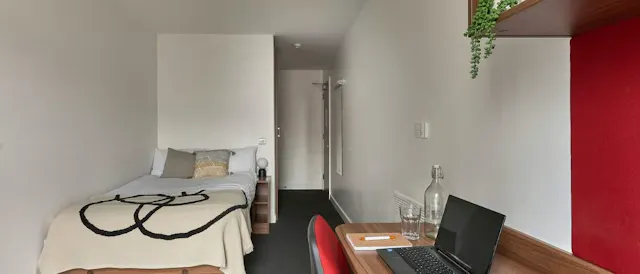 Standard Plus Ensuite room image 2