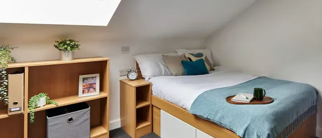 Standard Plus Studio room image 1