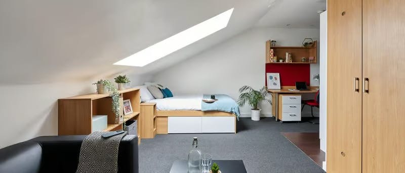 Standard Plus Studio