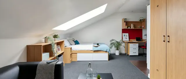 Standard Plus Studio room image 2
