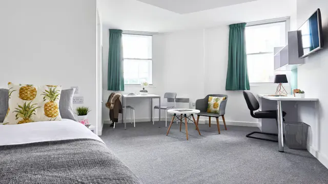 Deluxe Plus Studio room image 1