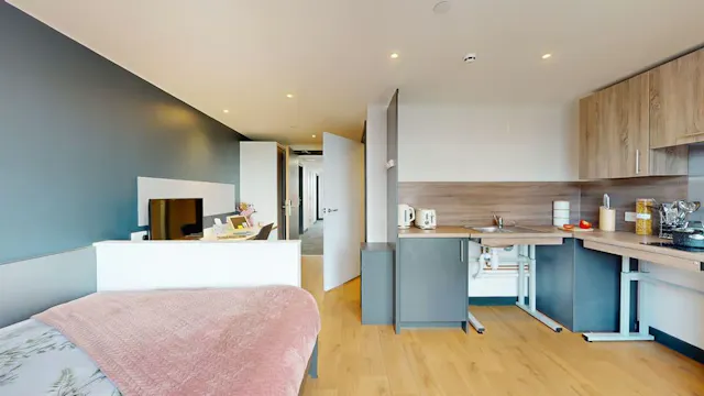 Premium Accessible Studio room image 1