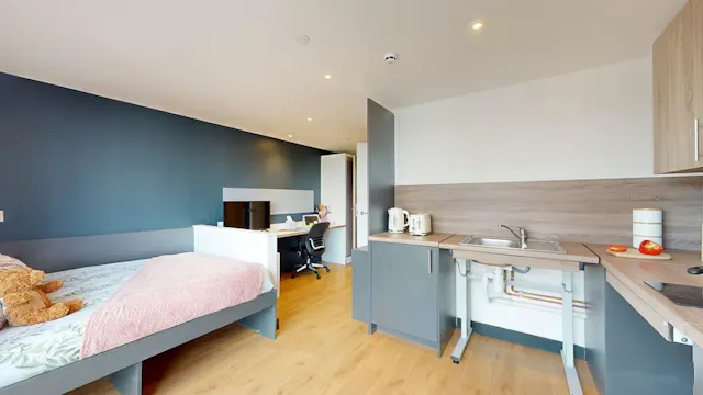 Premium Accessible Studio room image 2