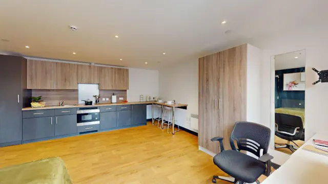 Penthouse Deluxe Studio room image 1