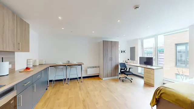 Penthouse Deluxe Studio room image 2