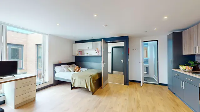Penthouse Deluxe Studio room image 3
