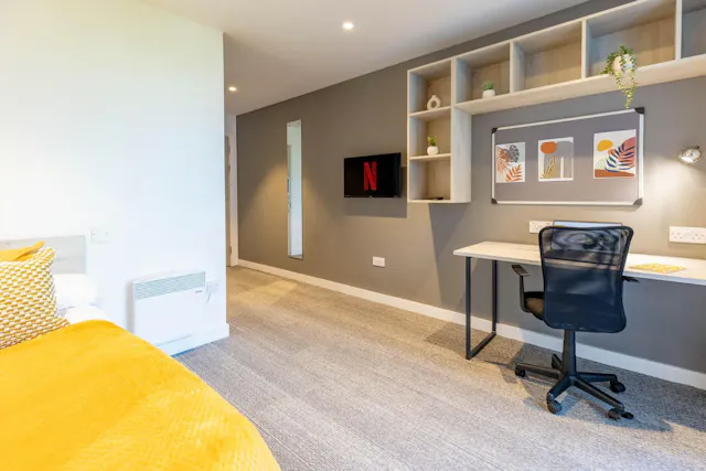 Ensuite Accessible room image 2