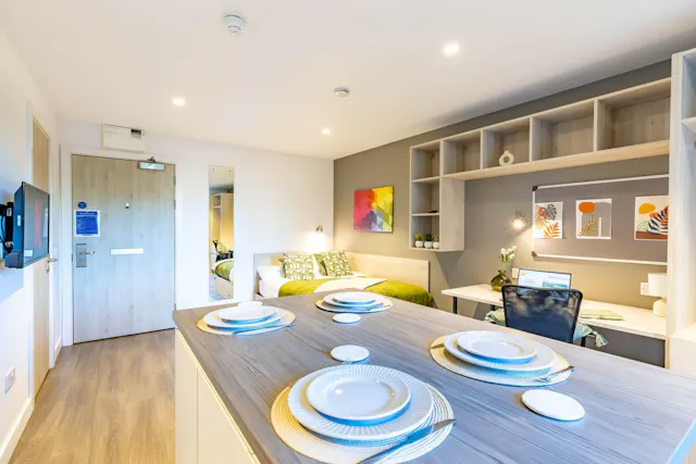 Premium Studio room image 2
