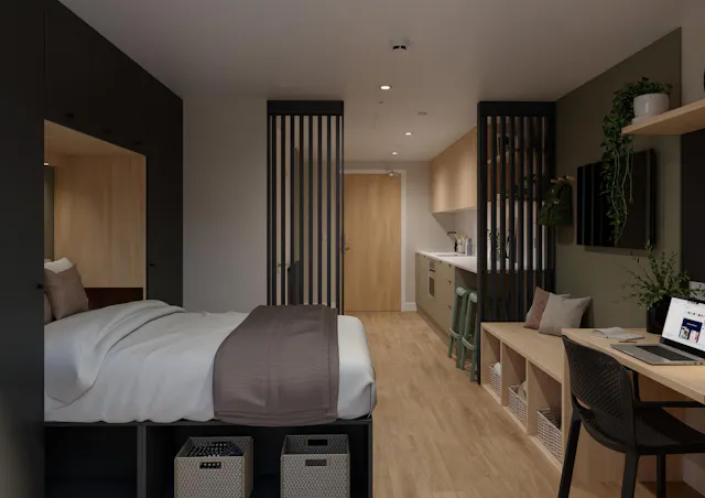 Deluxe Studio room image 2