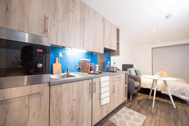 Executive Penthouse room image 2