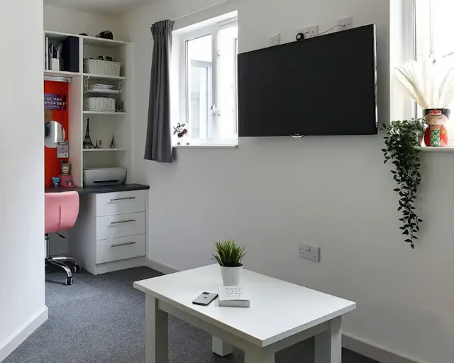 Deluxe Studio room image 4