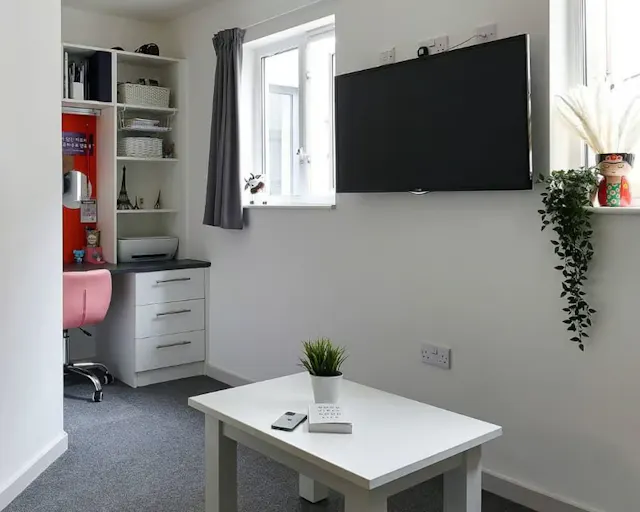 Premium Studio room image 4