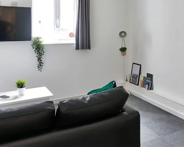 Premium Studio room image 2