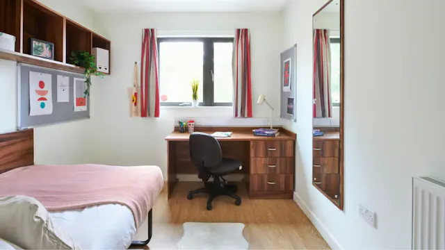 Deluxe Plus Ensuite room image 2
