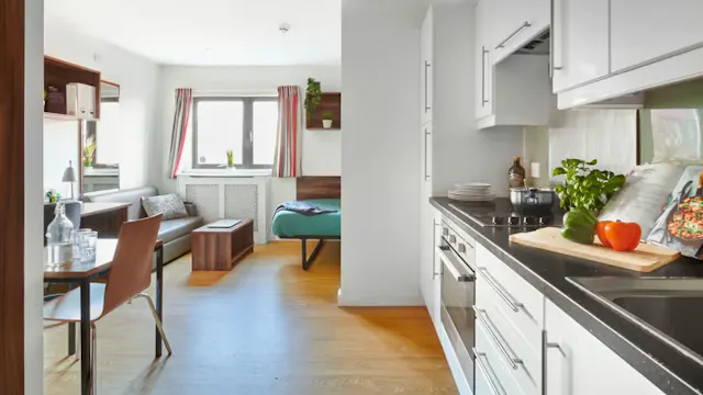 Premium Studio room image 2
