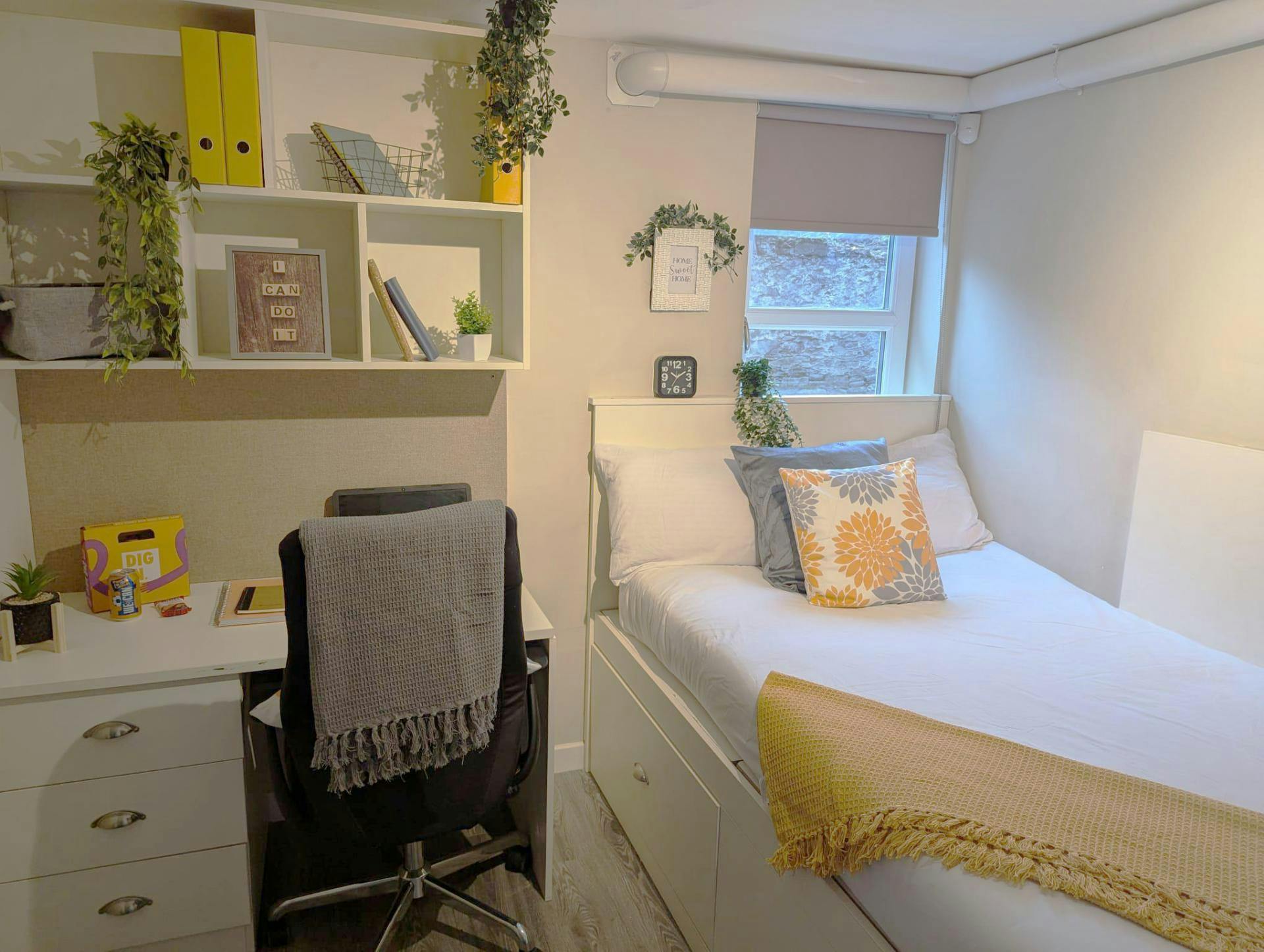 peterson-hall1-dundee-Standard Ensuite 