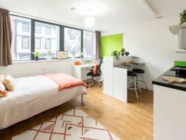 Deluxe Studio room image 2