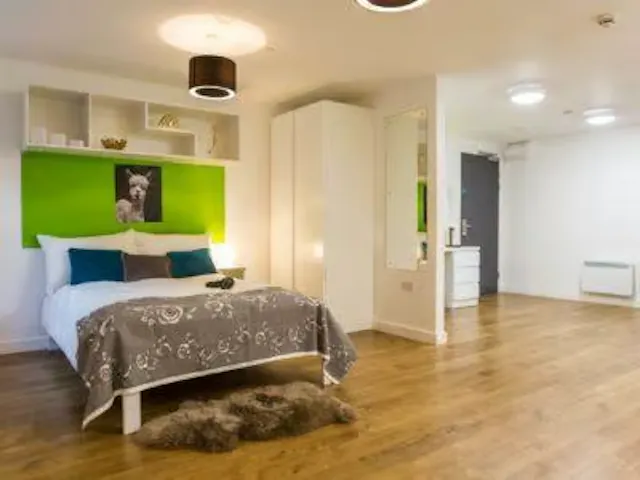 Superior Studio room image 2