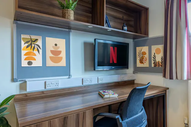 Standard Studio room image 2