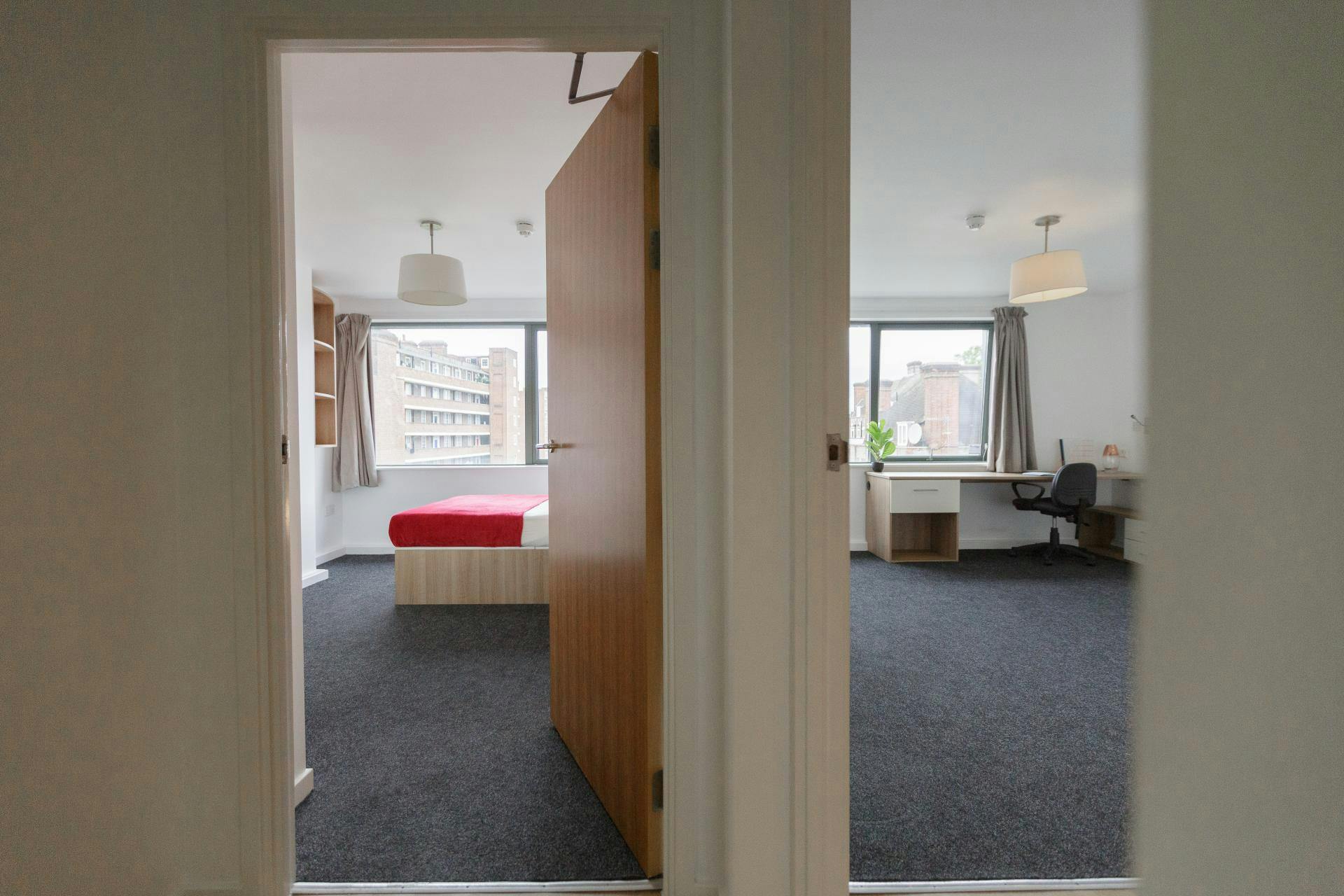 Bronze Studio Deluxe