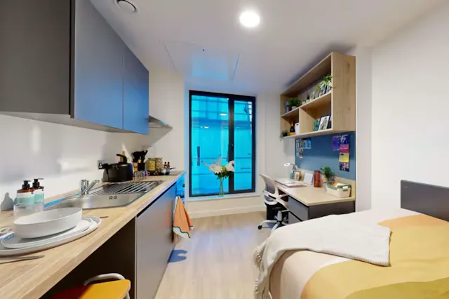 Silver Studio room image 2