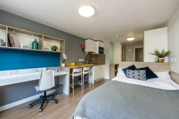 Superior Studio room image 2