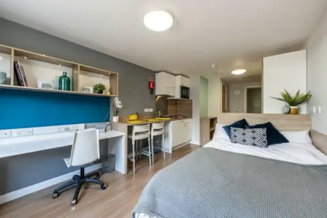 Superior Studio room image 2