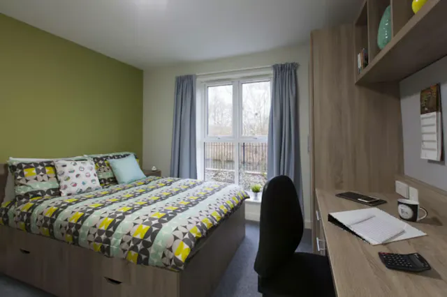 Premium Studio room image 1