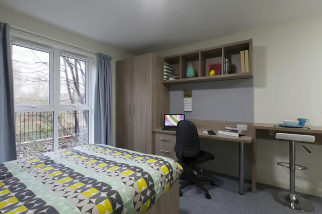 Premium Studio room image 4