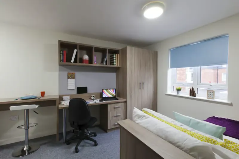 Premium Plus Studio
