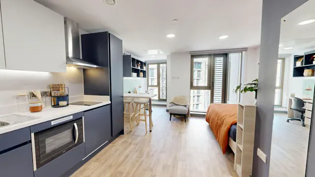 Premium Studio room image 3