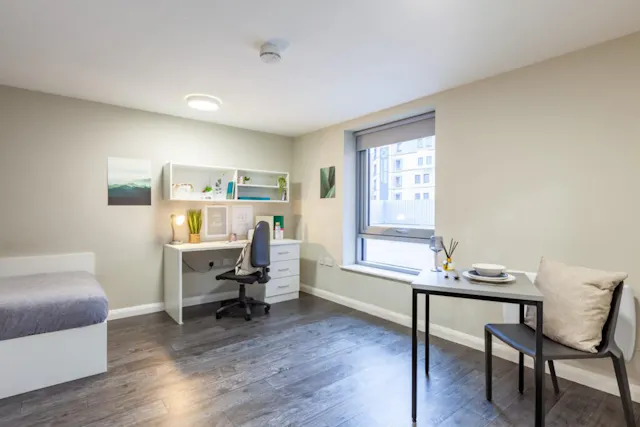 Premier Luxe Studio room image 8