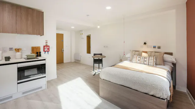 Superior Studio room image 1