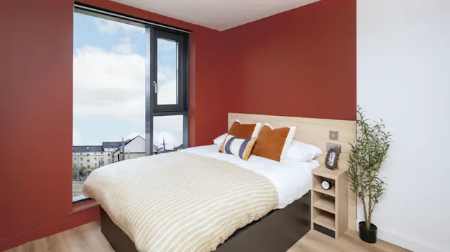 Bronze Plus Studio  room image 1