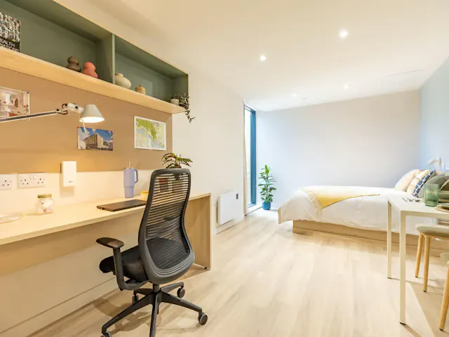 Premium Studio room image 2