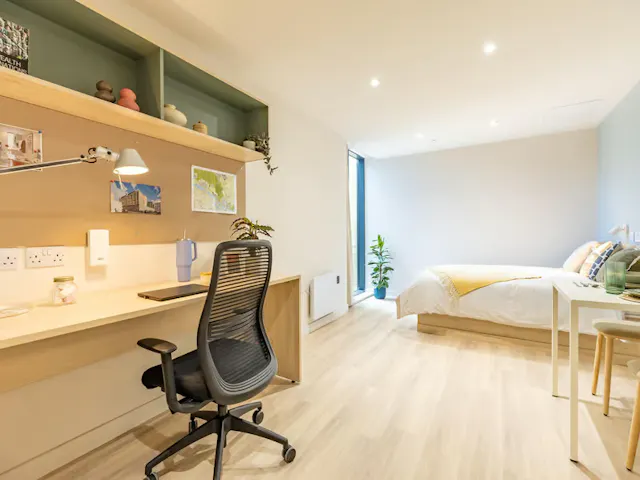 Premium Plus Studio room image 2