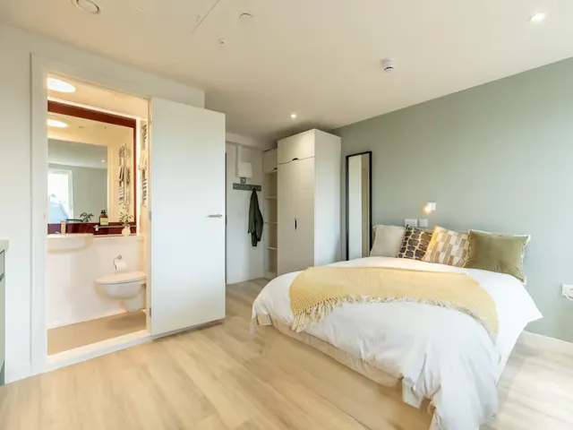 Classic Studio Plus room image 2
