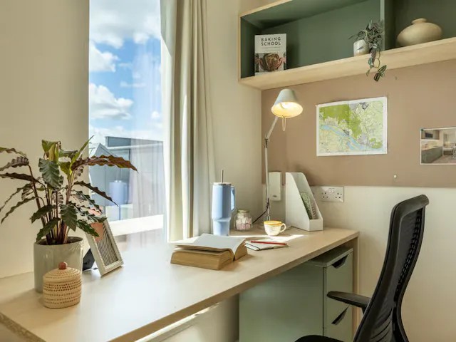 Classic Studio Plus room image 6