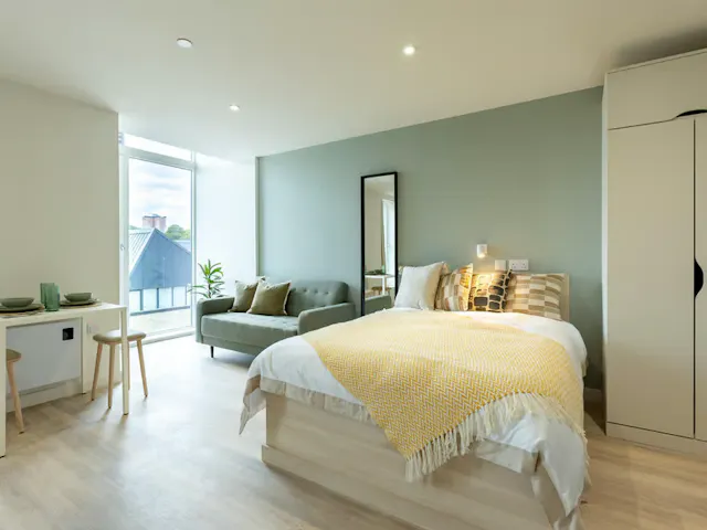 Deluxe Studio room image 1