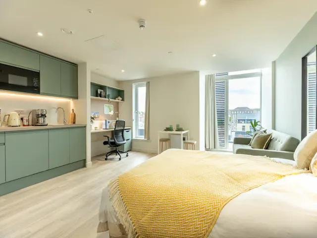 Deluxe Studio room image 2