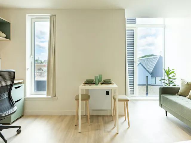 Deluxe Studio room image 6